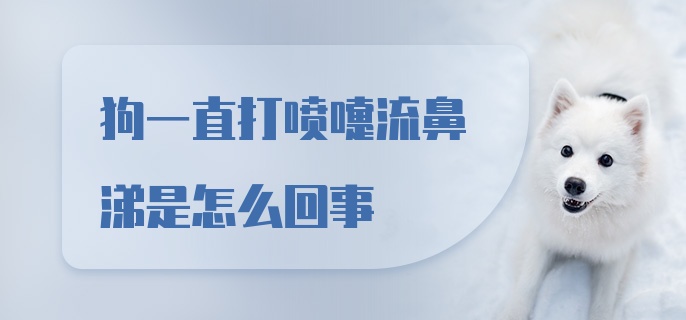 狗一直打喷嚏流鼻涕是怎么回事