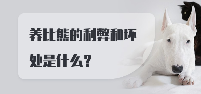 养比熊的利弊和坏处是什么？