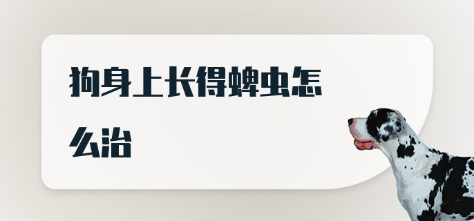 狗身上长得蜱虫怎么治