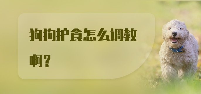 狗狗护食怎么调教啊？