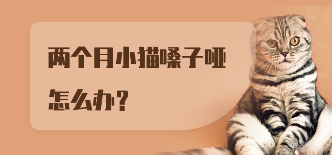 两个月小猫嗓子哑怎么办？