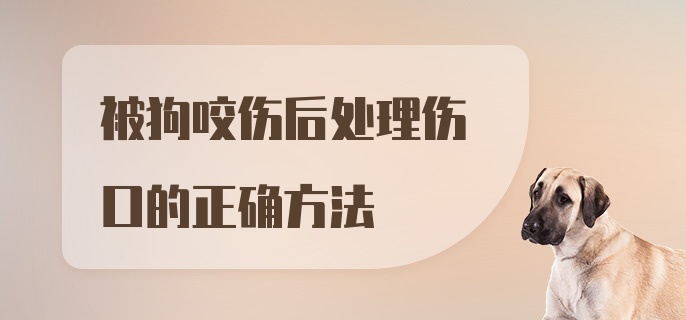 被狗咬伤后处理伤口的正确方法