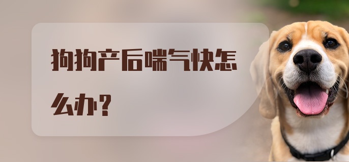 狗狗产后喘气快怎么办？