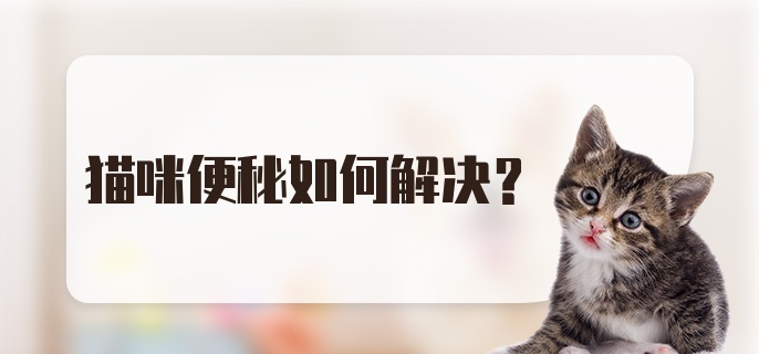 猫咪便秘如何解决？