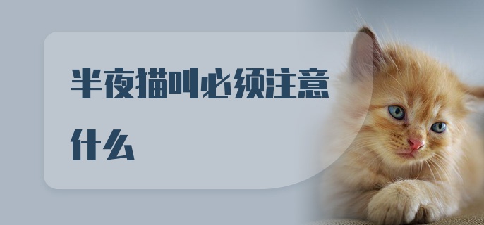 半夜猫叫必须注意什么