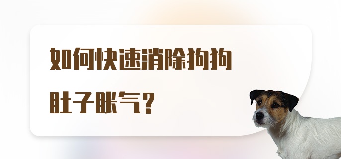 如何快速消除狗狗肚子胀气？