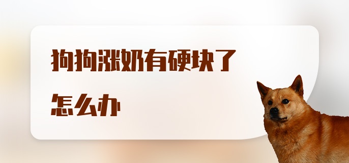 狗狗涨奶有硬块了怎么办