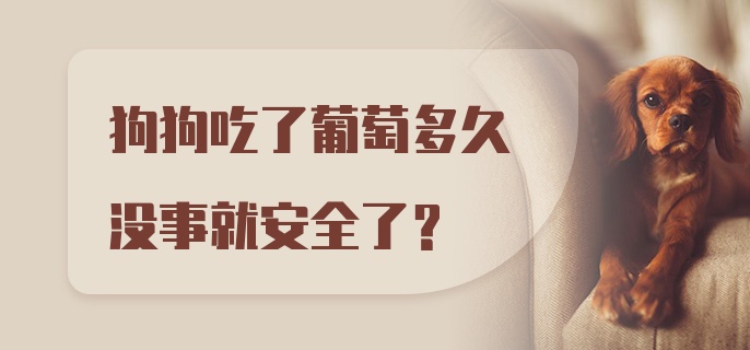 狗狗吃了葡萄多久没事就安全了？