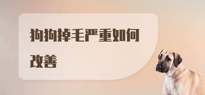 狗狗掉毛严重如何改善