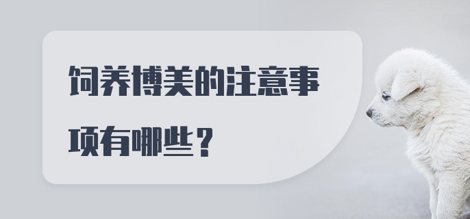 饲养博美的注意事项有哪些？