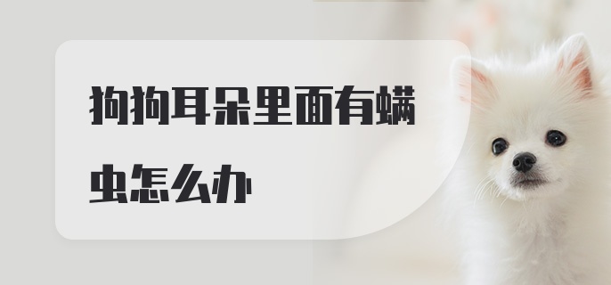 狗狗耳朵里面有螨虫怎么办