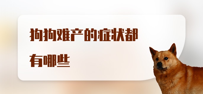 狗狗难产的症状都有哪些