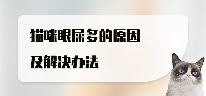 猫咪眼屎多的原因及解决办法