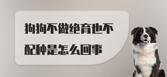 狗狗不做绝育也不配种是怎么回事