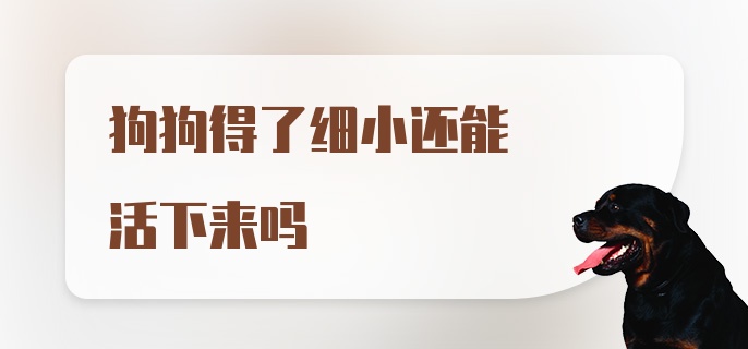 狗狗得了细小还能活下来吗