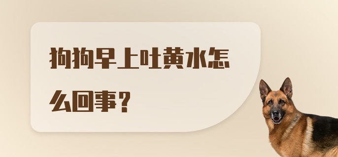 狗狗早上吐黄水怎么回事?