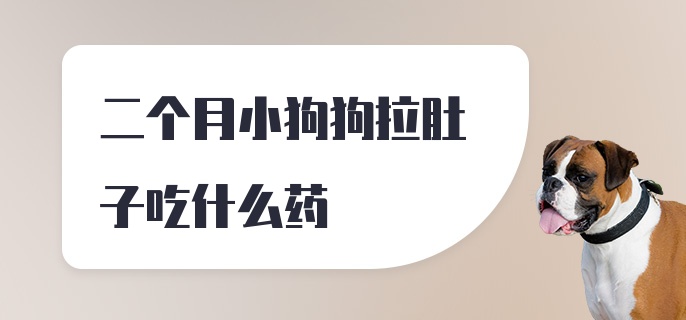 二个月小狗狗拉肚子吃什么药