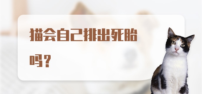 猫会自己排出死胎吗？