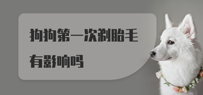 狗狗第一次剃胎毛有影响吗