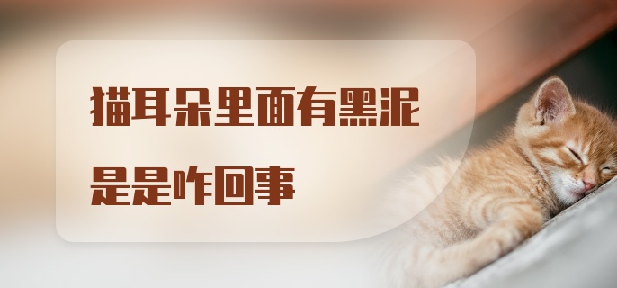 猫耳朵里面有黑泥是是咋回事