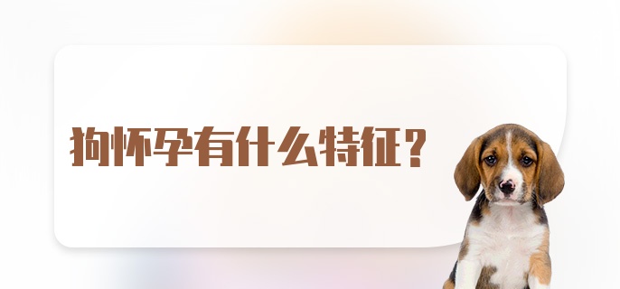 狗怀孕有什么特征？