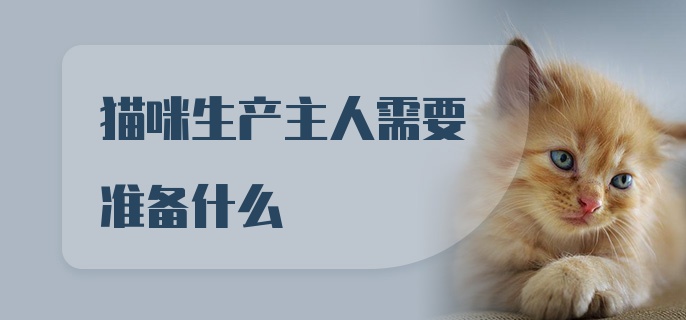 猫咪生产主人需要准备什么