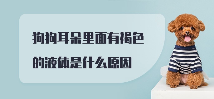 狗狗耳朵里面有褐色的液体是什么原因