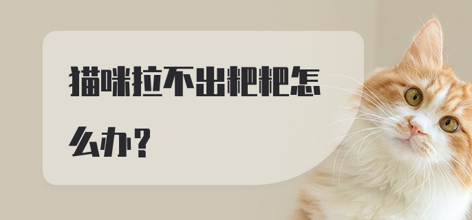 猫咪拉不出粑粑怎么办?