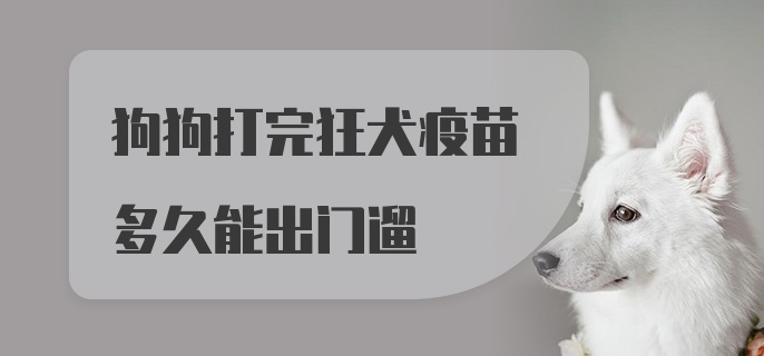 狗狗打完狂犬疫苗多久能出门遛