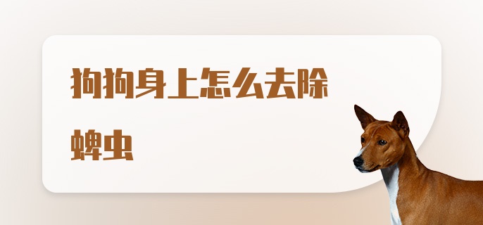 狗狗身上怎么去除蜱虫