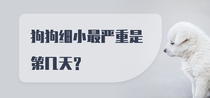 狗狗细小最严重是第几天？