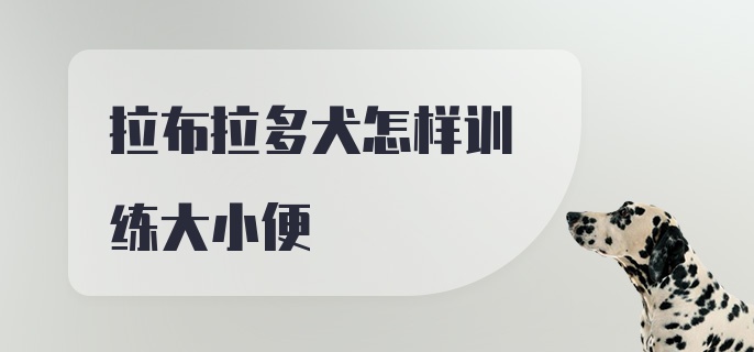 拉布拉多犬怎样训练大小便