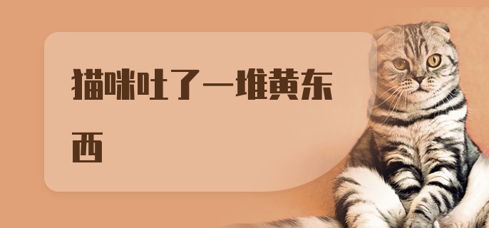 猫咪吐了一堆黄东西