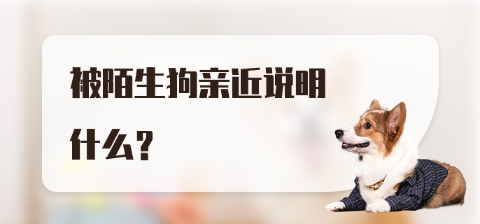 被陌生狗亲近说明什么？