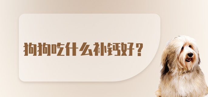 狗狗吃什么补钙好？