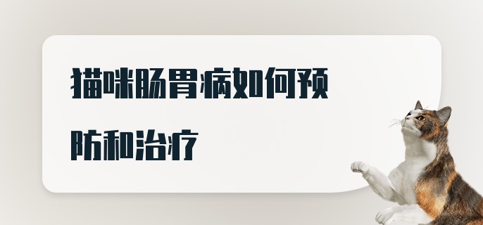 猫咪肠胃病如何预防和治疗