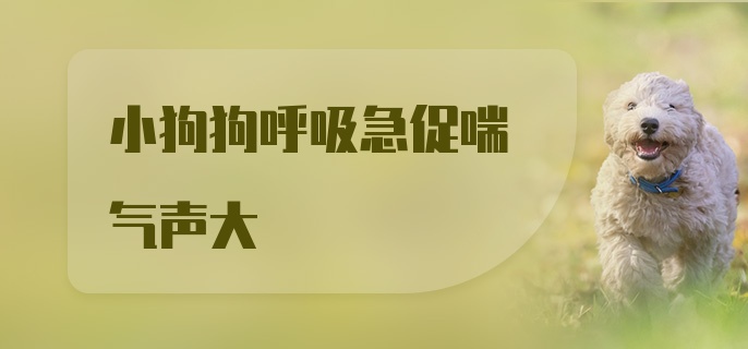 小狗狗呼吸急促喘气声大