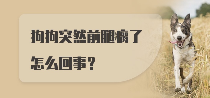 狗狗突然前腿瘸了怎么回事？