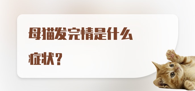 母猫发完情是什么症状?