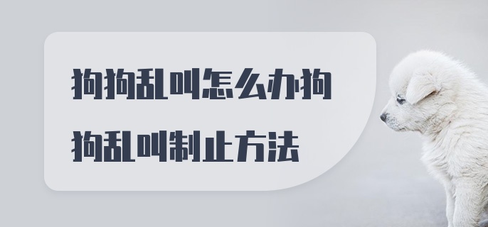 狗狗乱叫怎么办狗狗乱叫制止方法