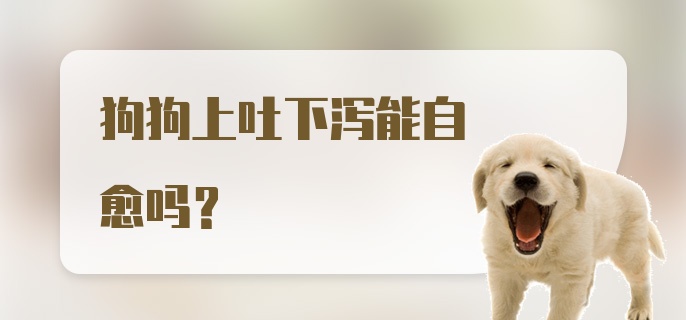 狗狗上吐下泻能自愈吗？