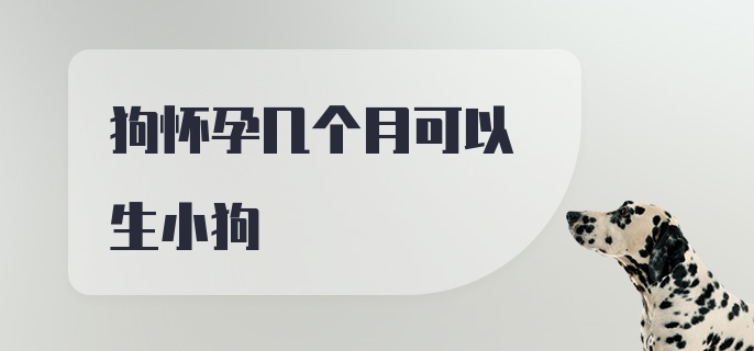 狗怀孕几个月可以生小狗