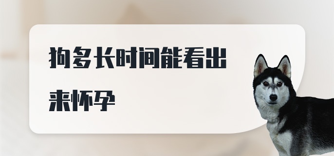 狗多长时间能看出来怀孕