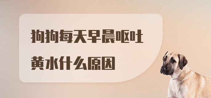 狗狗每天早晨呕吐黄水什么原因