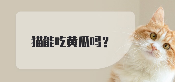 猫能吃黄瓜吗?