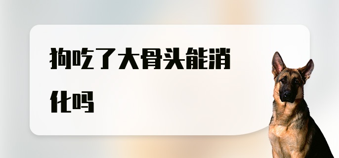 狗吃了大骨头能消化吗