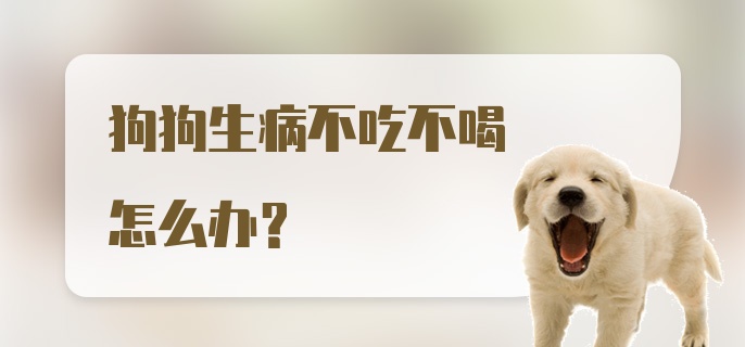 狗狗生病不吃不喝怎么办?