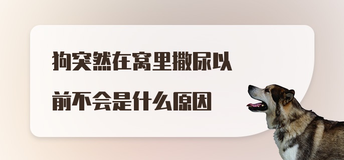 狗突然在窝里撒尿以前不会是什么原因