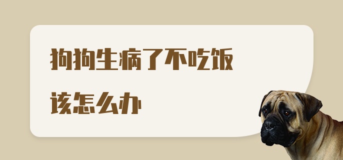 狗狗生病了不吃饭该怎么办