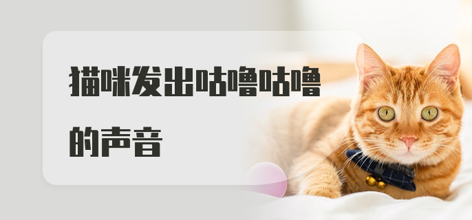 猫咪发出咕噜咕噜的声音